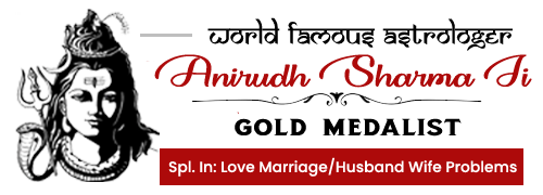 Pandit Anirudh Sharma